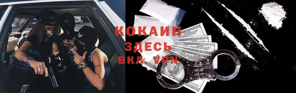 apvp Дмитриев