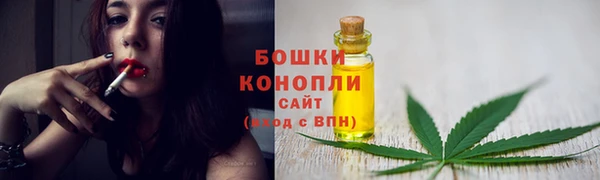 apvp Дмитриев