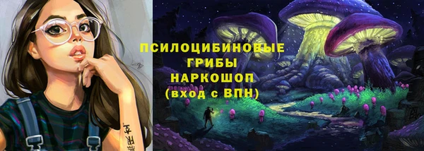 apvp Дмитриев