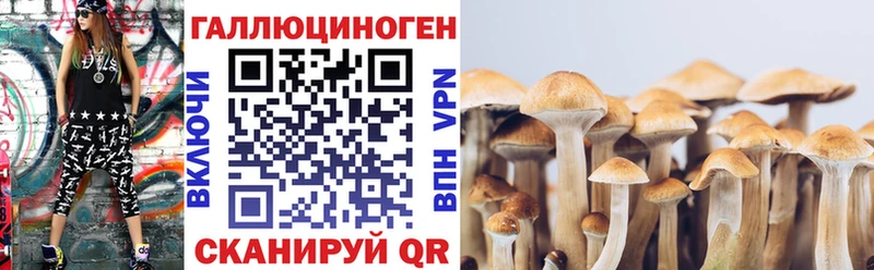 Галлюциногенные грибы MAGIC MUSHROOMS  Купить закладки  Ахтубинск 